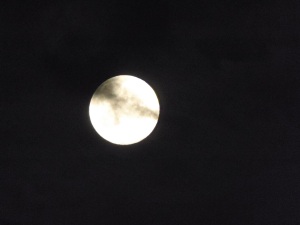 full moon last night...